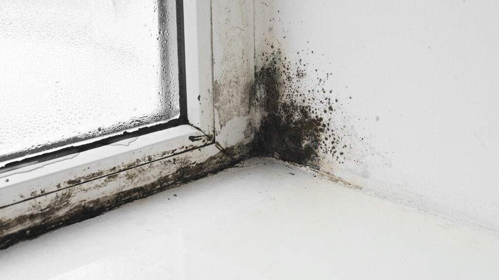 waterproofing buildings in rainy season h2 03